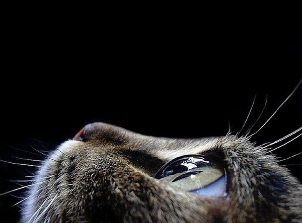 most-amazing-photos-ever41